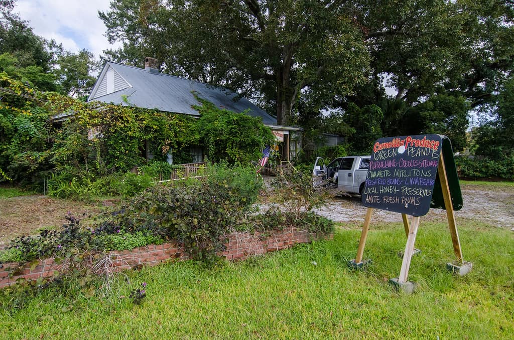 Camellia Produce in Slidell